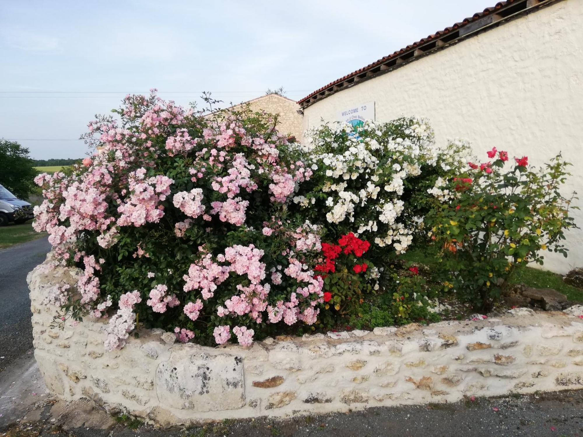 Gites Chez Belliveau Meursac Экстерьер фото